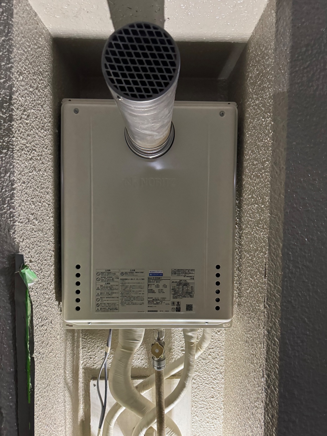 實篤　柘榴図　共箱　MA895 實篤柘榴図共箱MA895