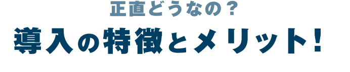 正直どうなの?導入の特徴とメリット!