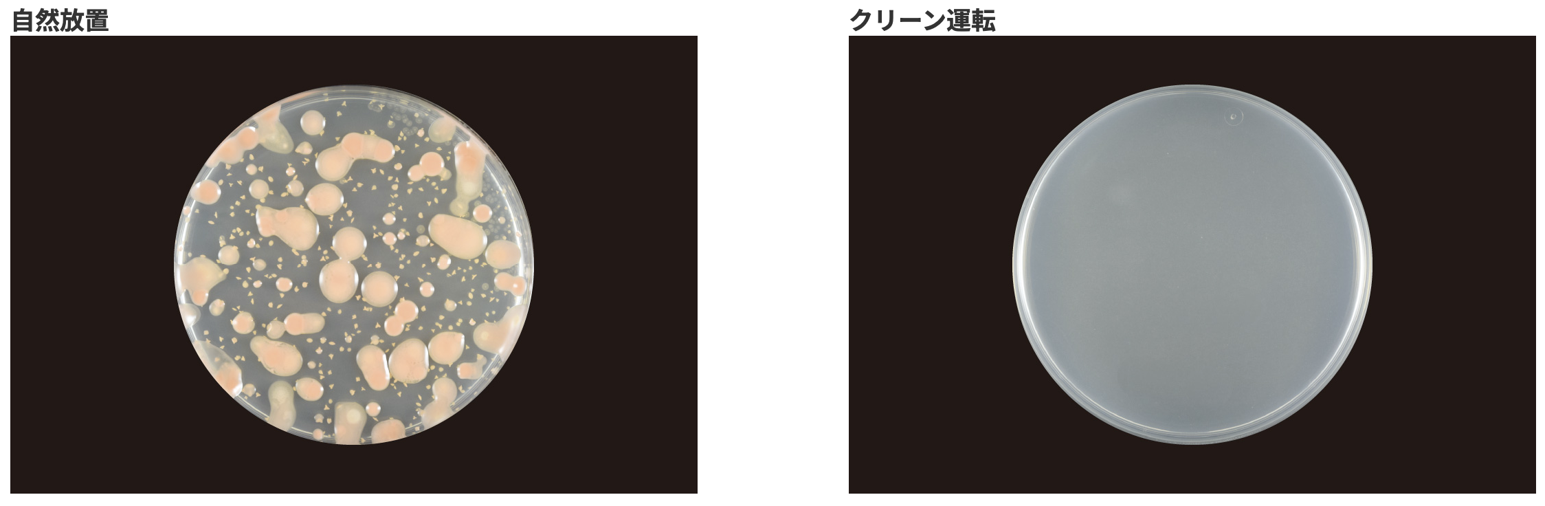 ピンクぬめり