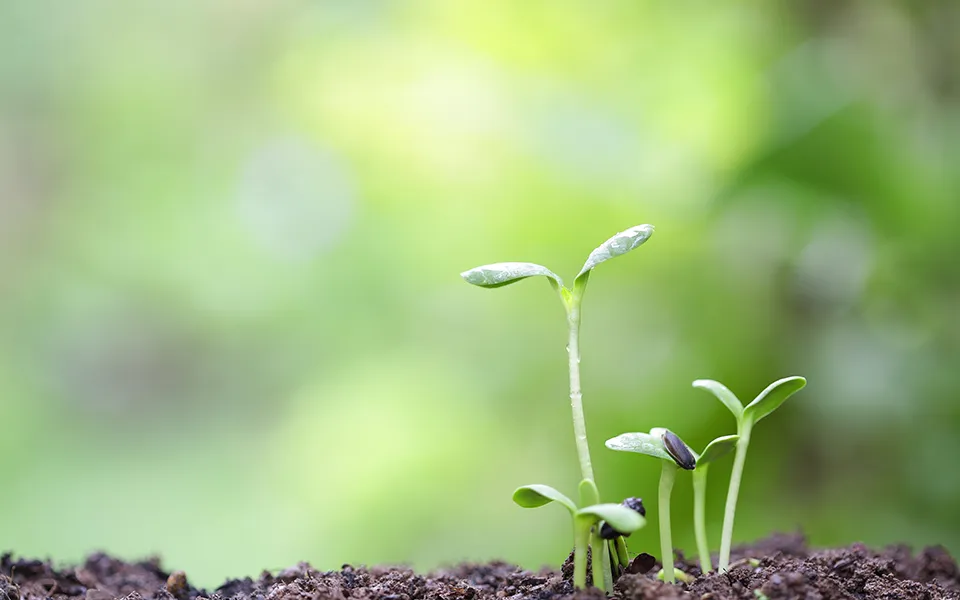 エネルギーの有効利用で省エネ性能アップ