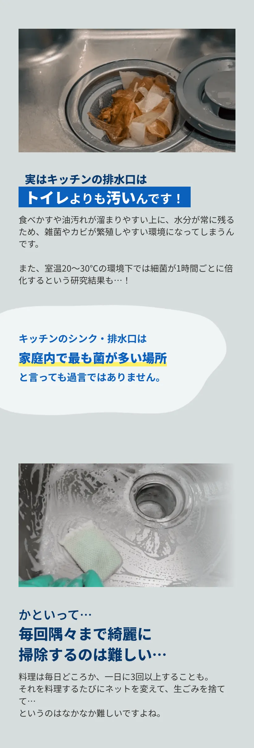 サンプル画像